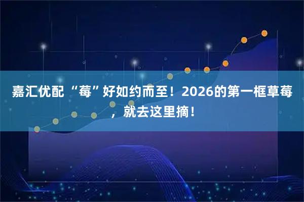 嘉汇优配 “莓”好如约而至！2026的第一框草莓，就去这里摘！